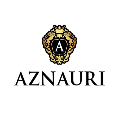 Логотип AZNAURI.jpg