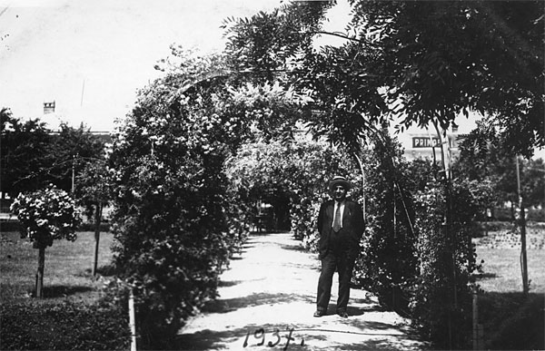 Файл:Алея у Громадському саду (1937).jpg