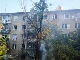 Обгоріле дерево у дворі будинку