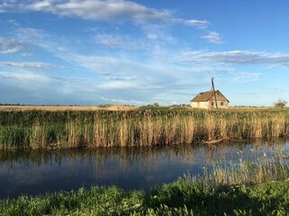 Плавні у Випасному